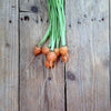 Piccolo | Carrot Paris Market | Conscious Craft